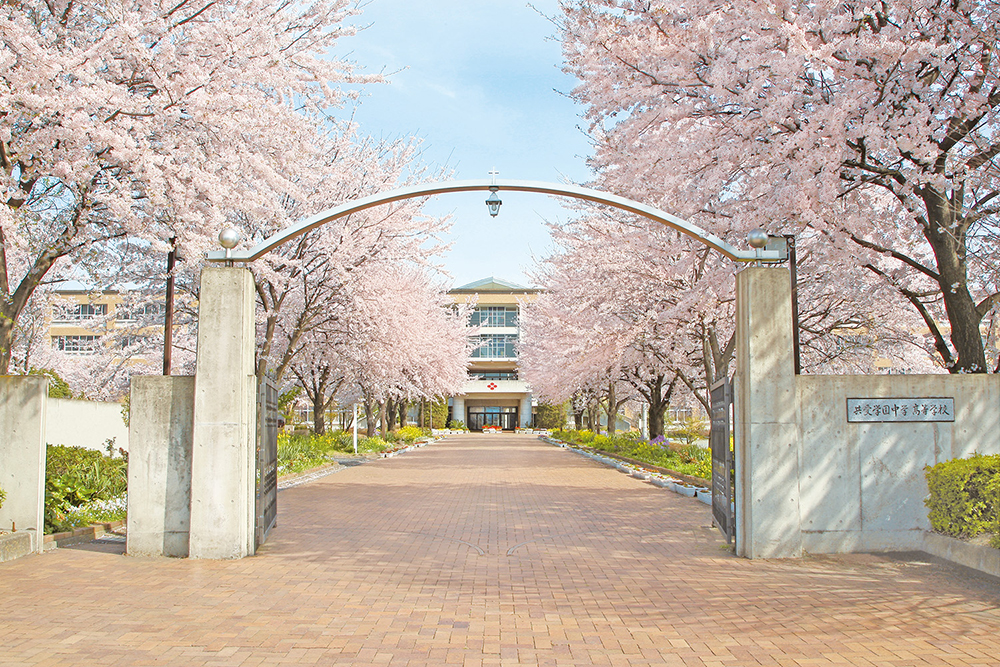 特別奨学生制度